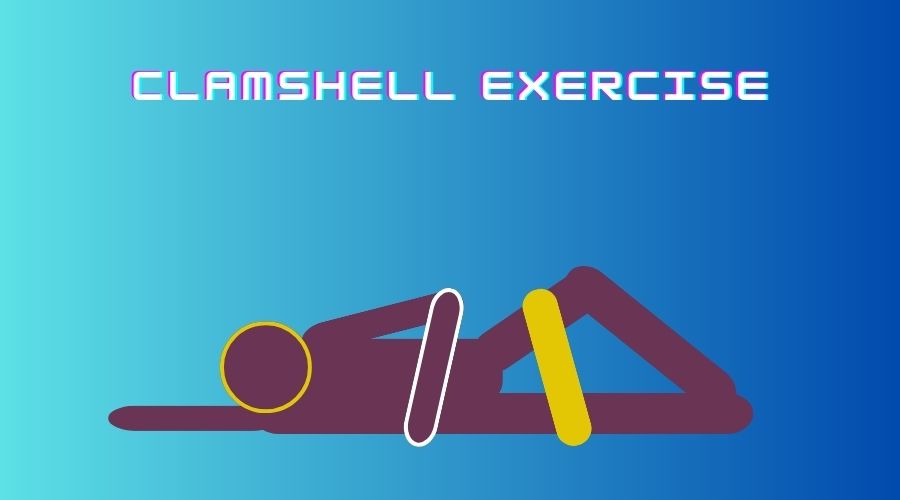 Clam Shell Exercise