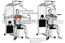 Chest Fly Machine