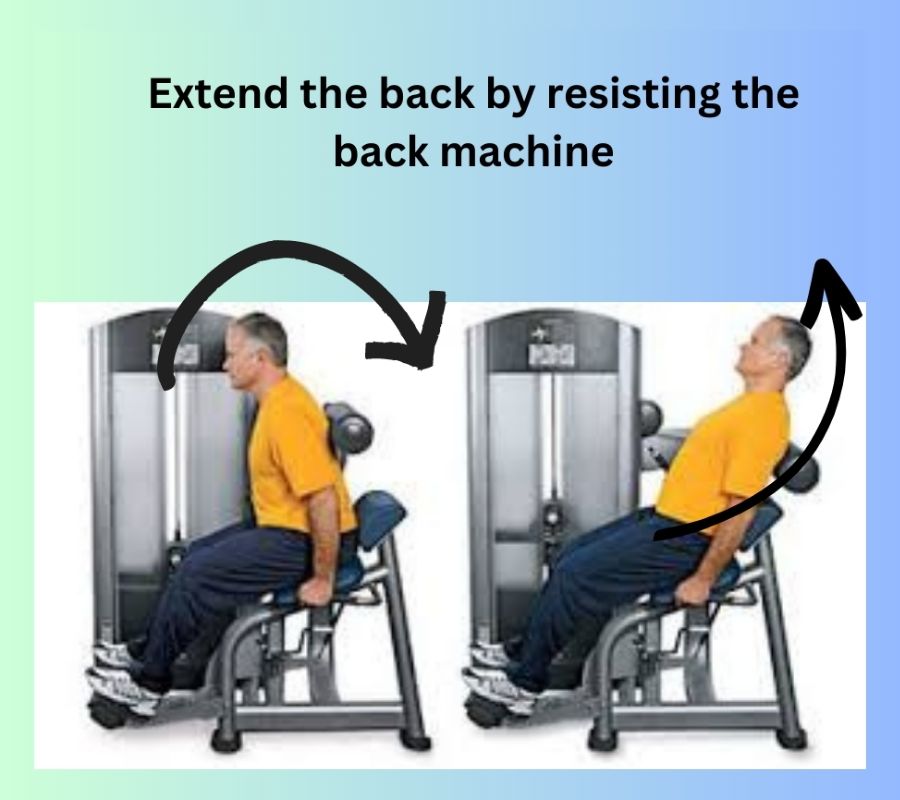 Extend the back by resisting the back machine